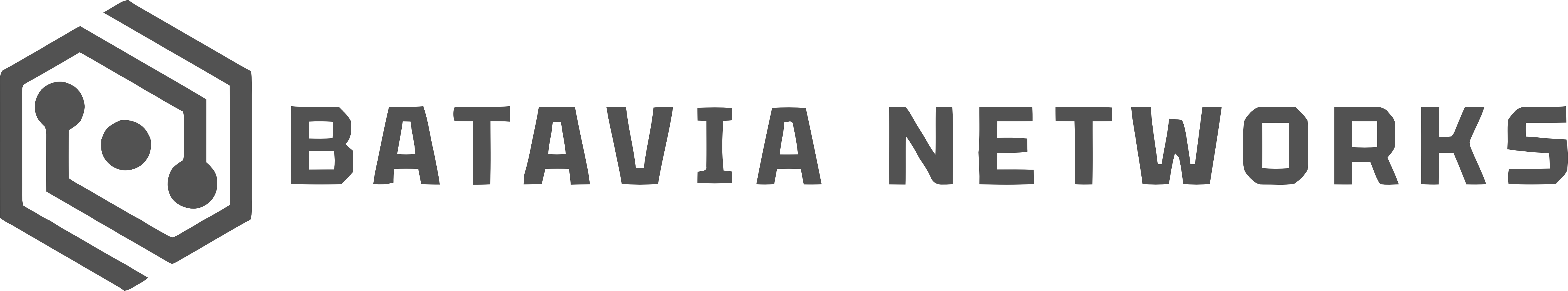 Batavia Networks Logo